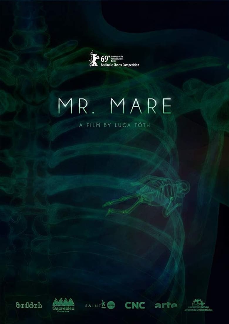 Poster of Mr. Mare