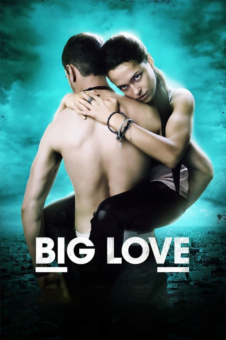 Poster of Big Love