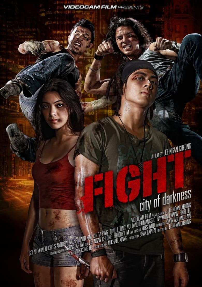 Poster of Fight: City of Darkness