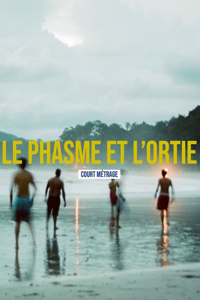 Poster of Le phasme et l'ortie