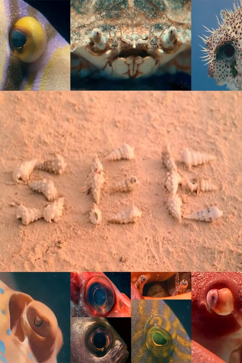 Poster of SEE