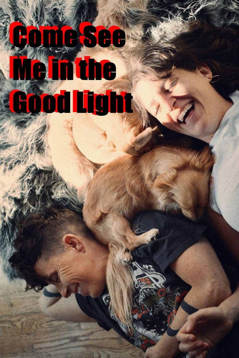 Poster of Come See Me in the Good Light