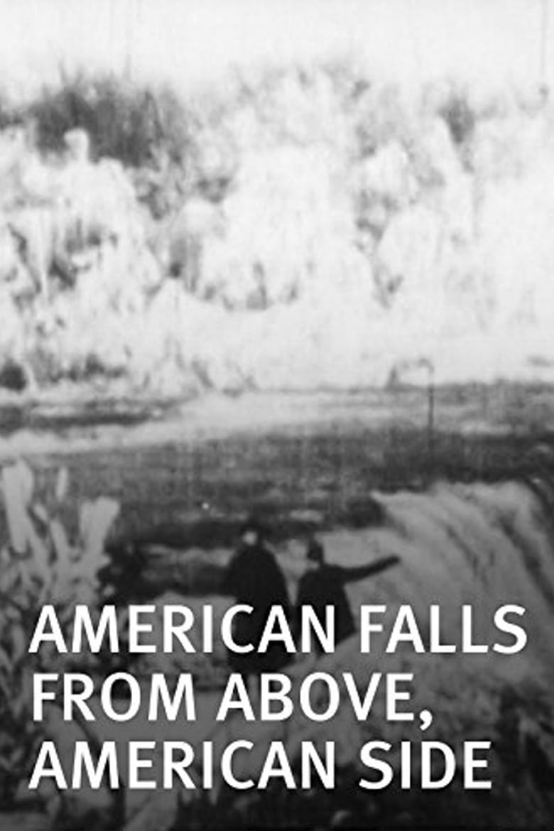 Poster of American Falls from Above, American Side