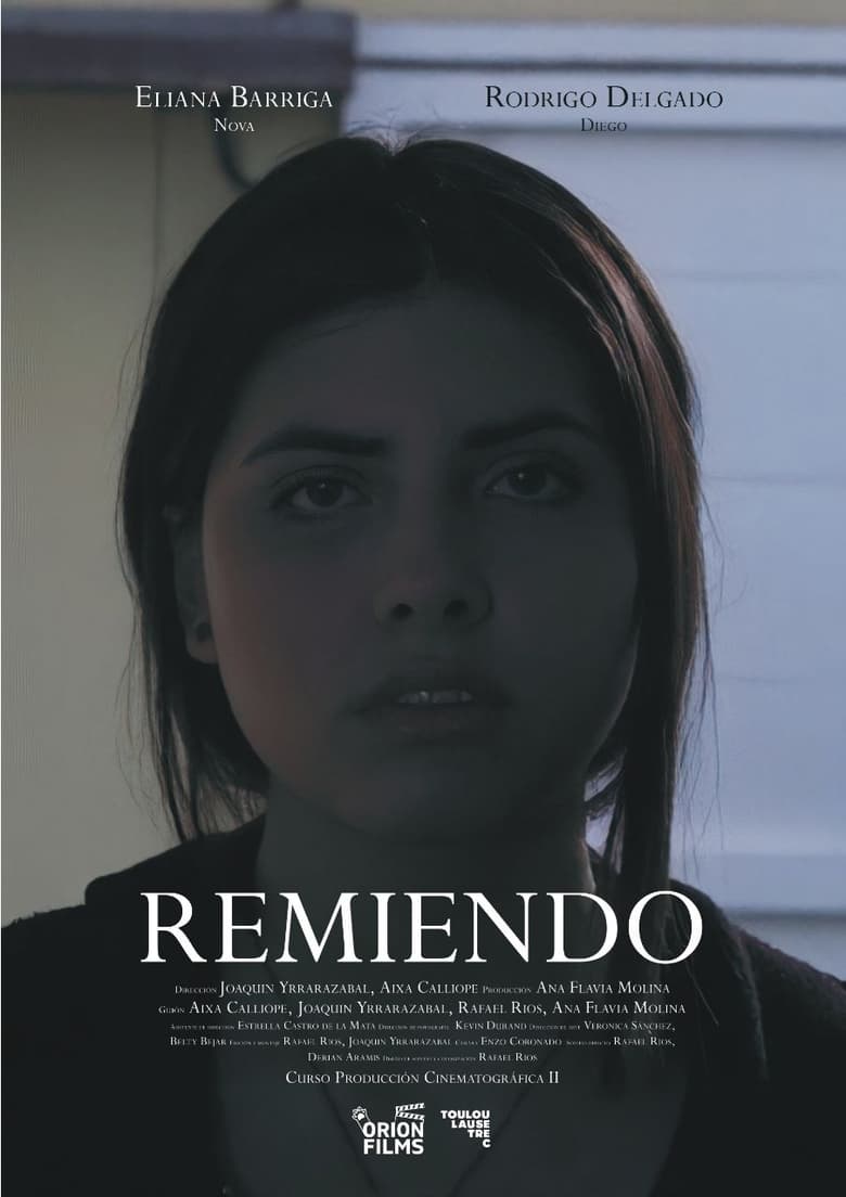 Poster of Remiendo