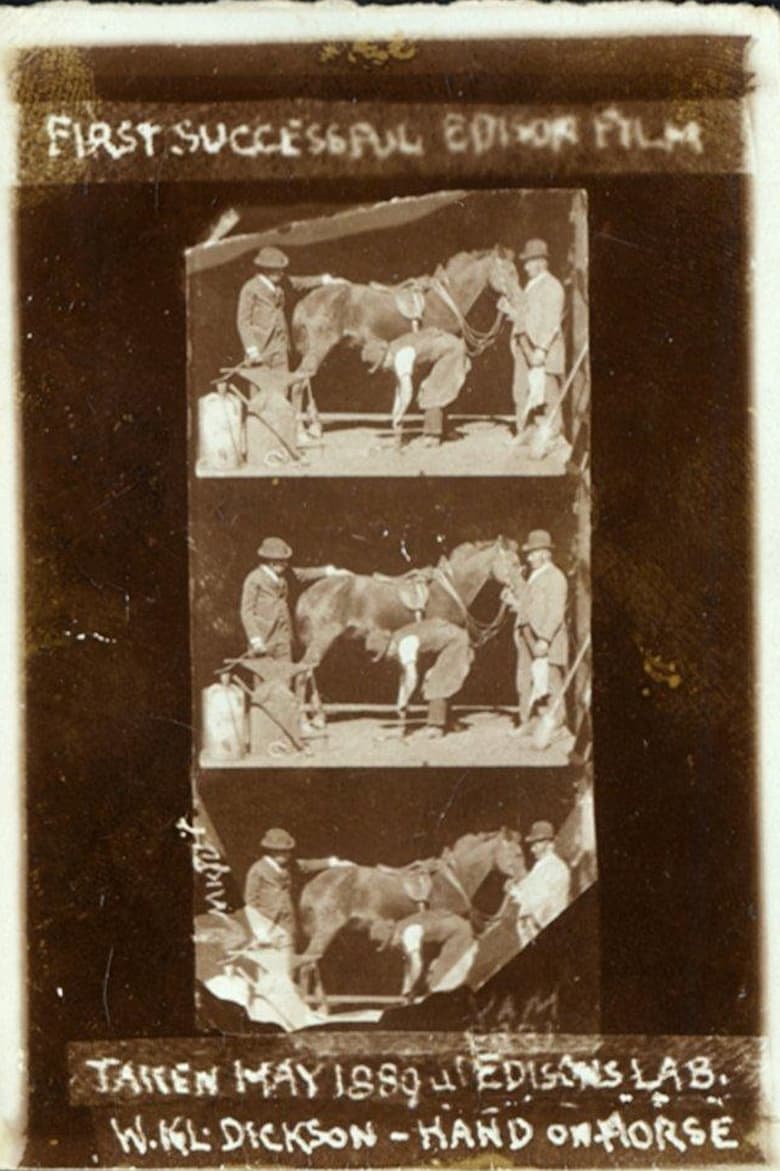 Poster of Horse Shoeing