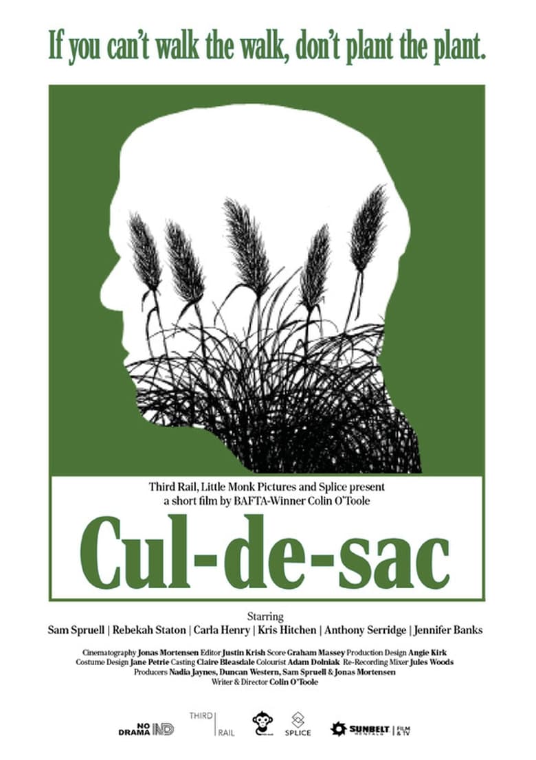 Poster of Cul-de-sac