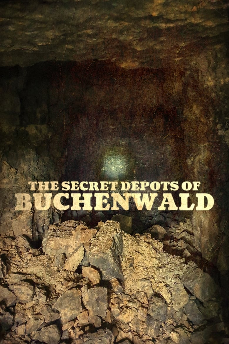 Poster of The Secret Depots of Buchenwald