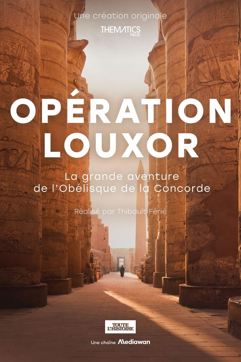 Poster of Opération Louxor