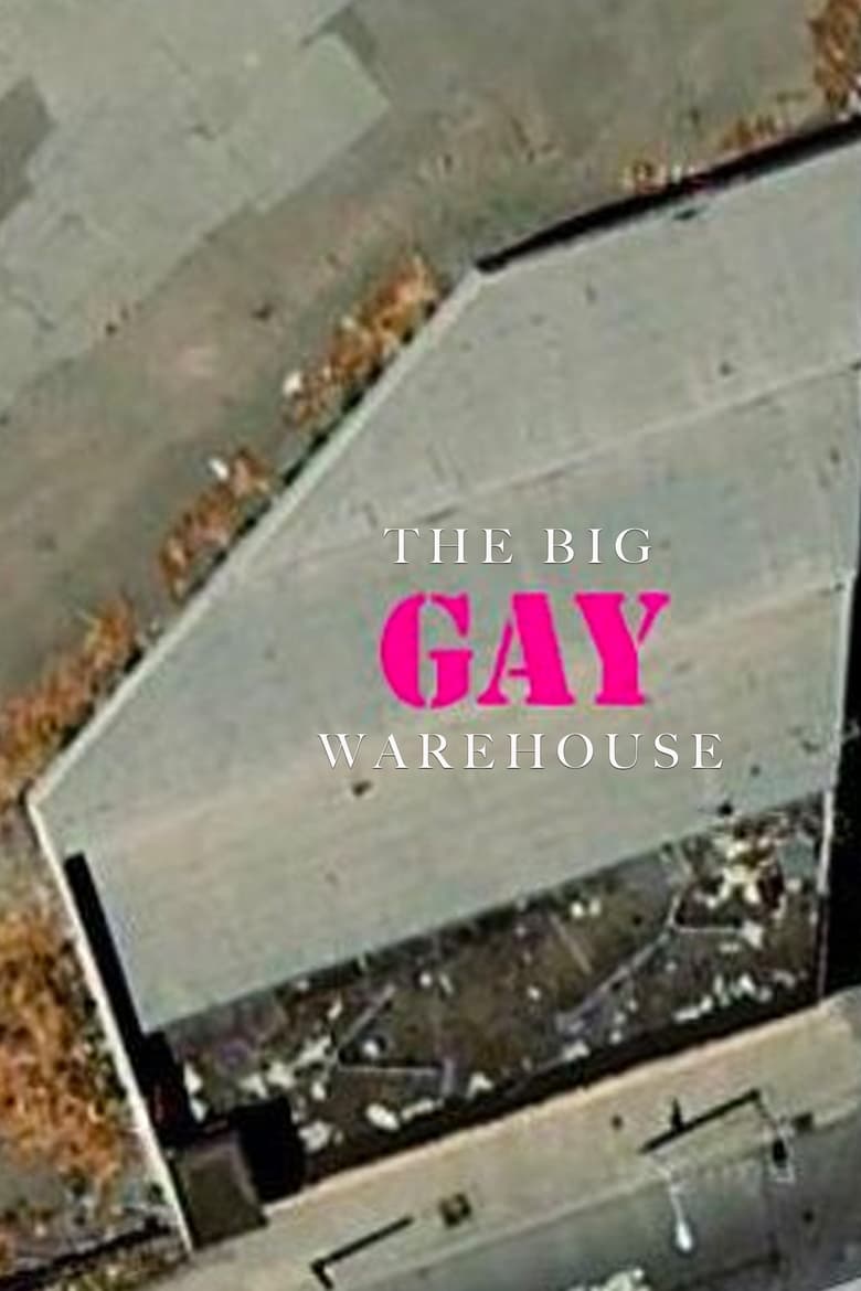 Poster of The Big Gay Doc