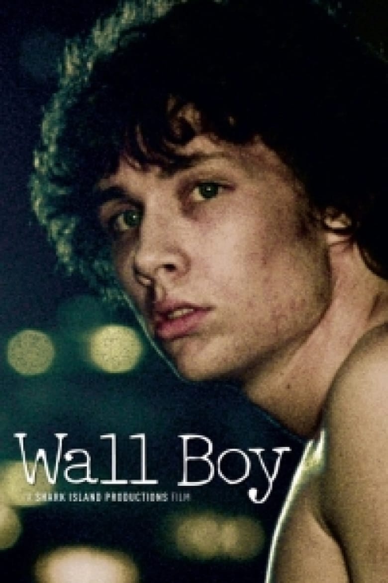 Poster of Wall Boy