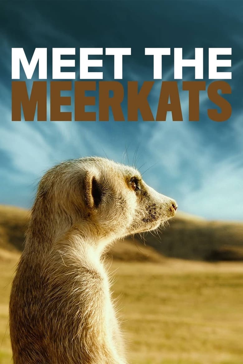 Poster of Meet the Meerkats