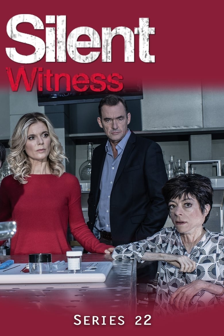 Poster of Episodes in Silent Witness - Series 22 - Series 22