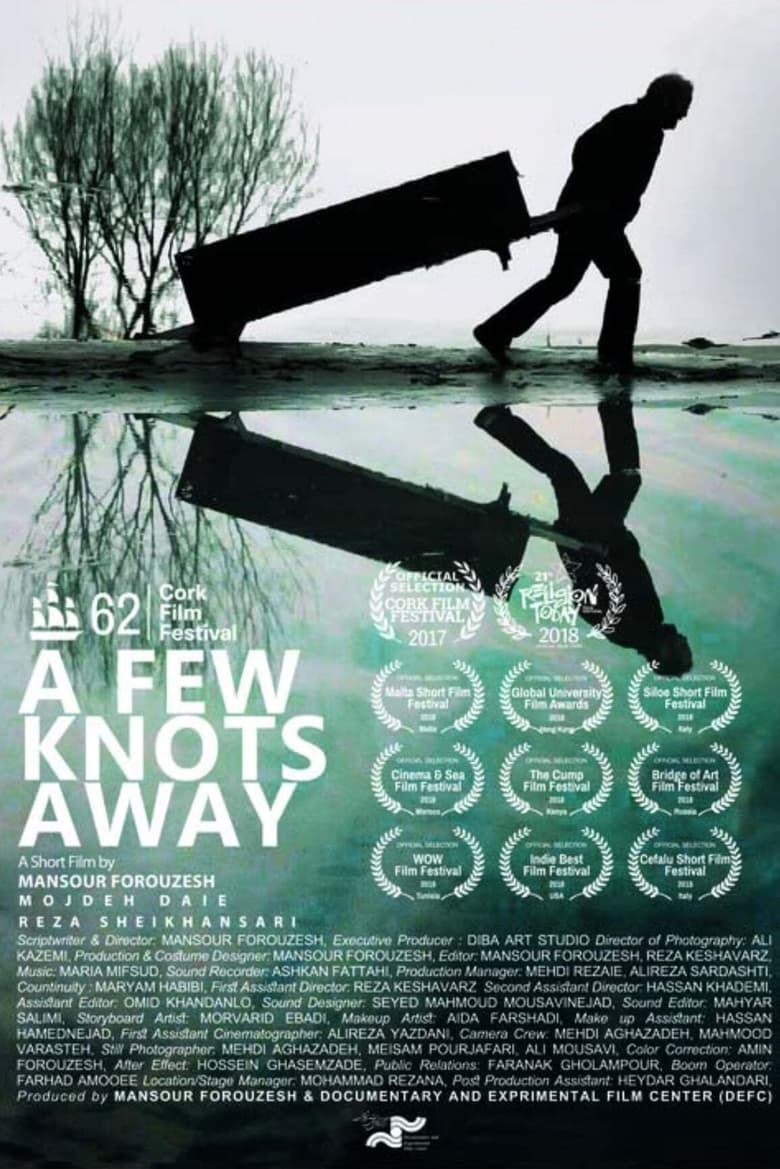 Poster of A Few Knots Away