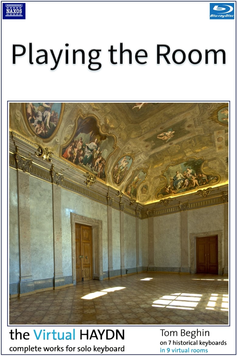 Poster of Playing the Room