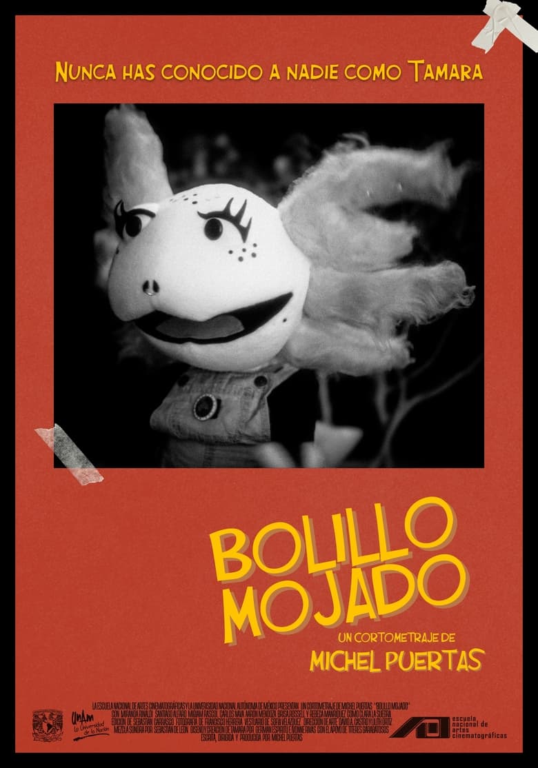 Poster of Bolillo Mojado