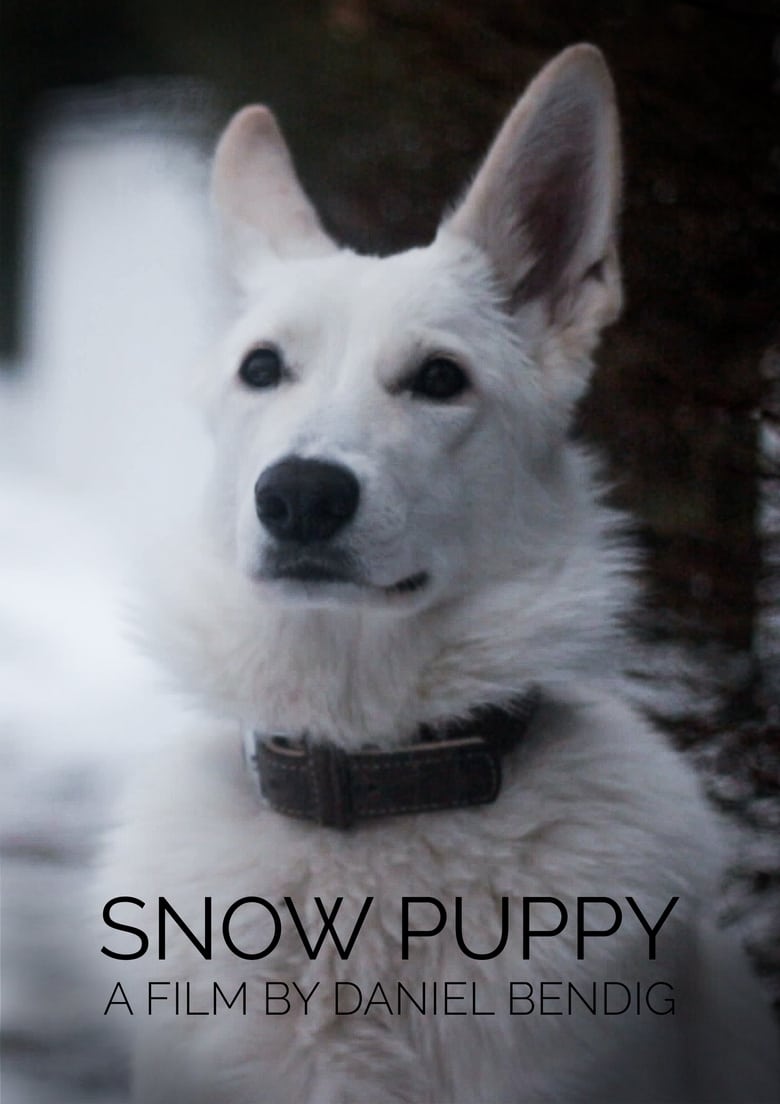 Poster of Snow Puppy