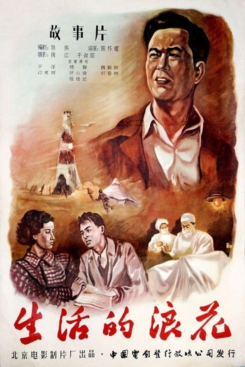 Poster of 生活的浪花