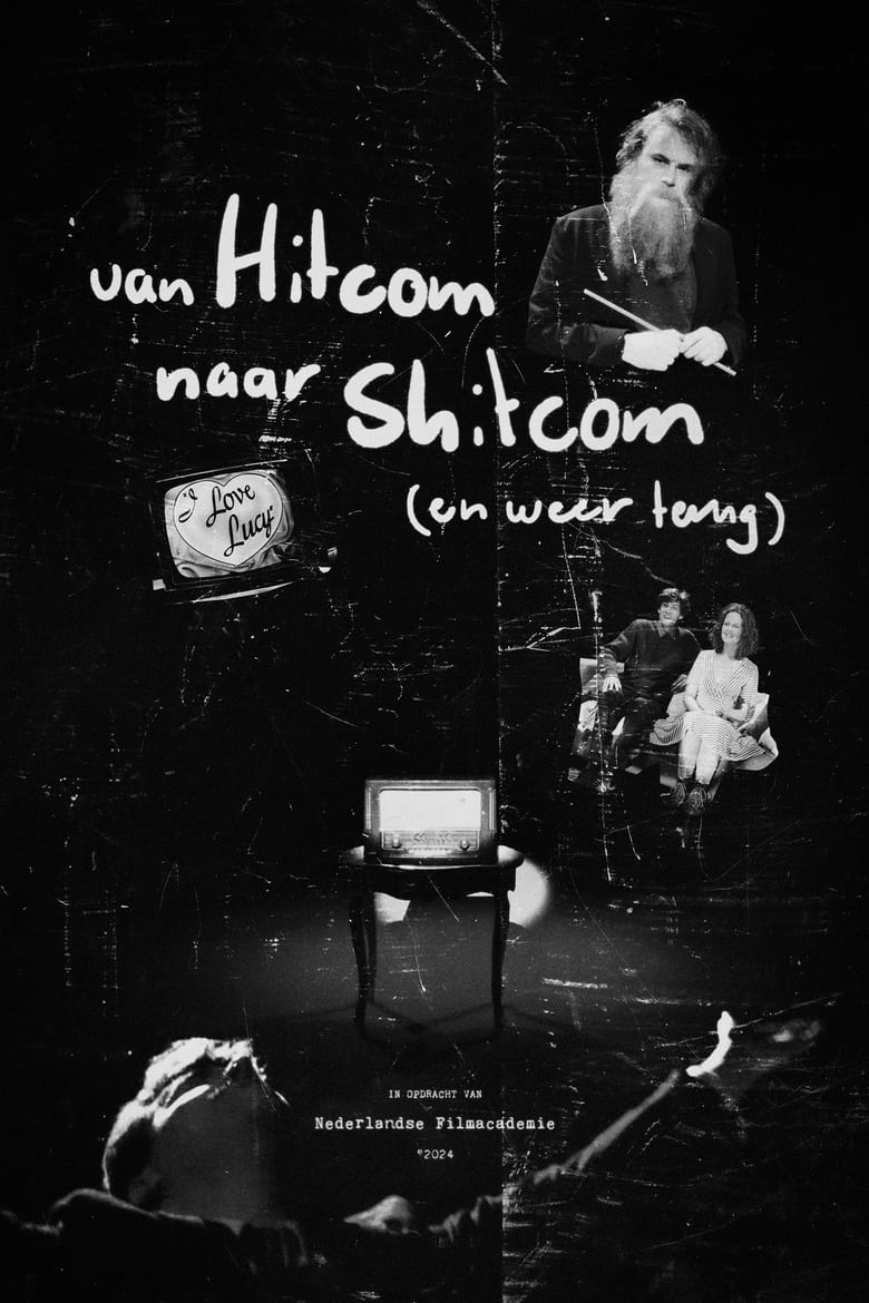 Poster of From Hitcom To Shitcom (And Back)