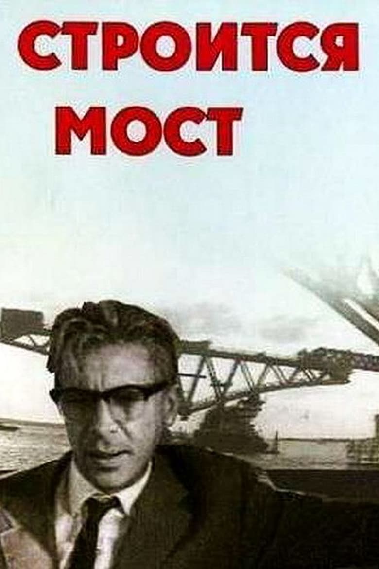 Poster of Строится мост