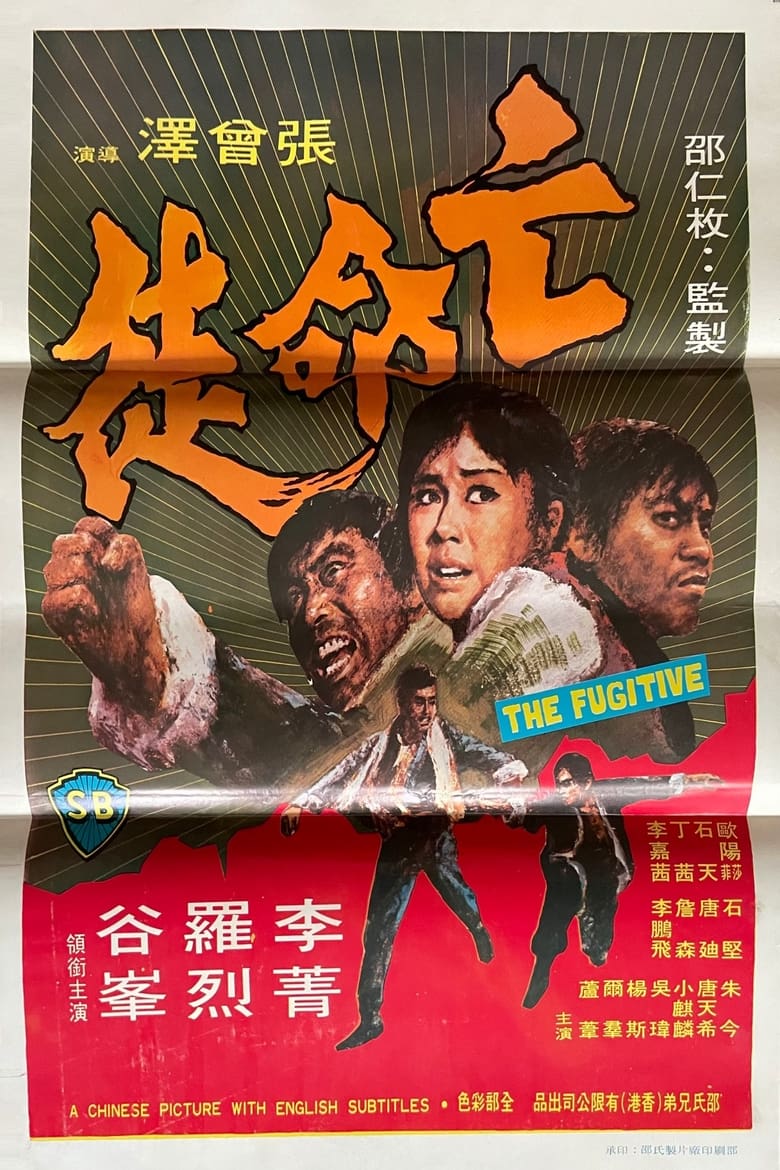 Poster of The Fugitive