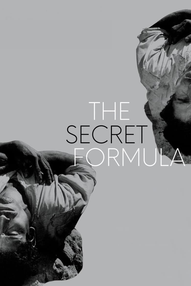 Poster of The Secret Formula