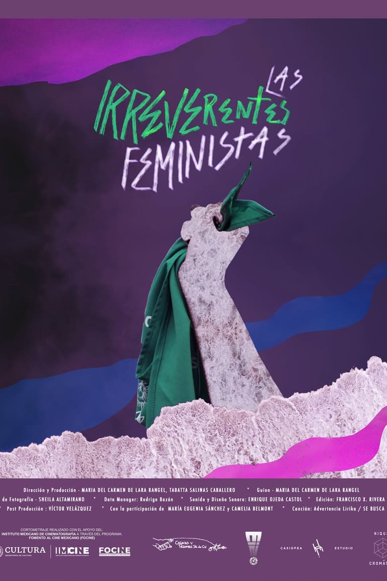 Poster of Las irreverentes feministas