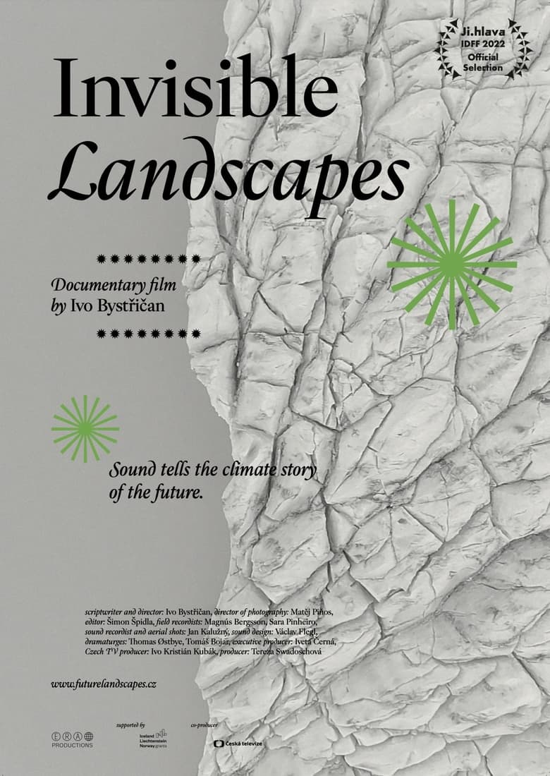 Poster of Invisible Landscapes