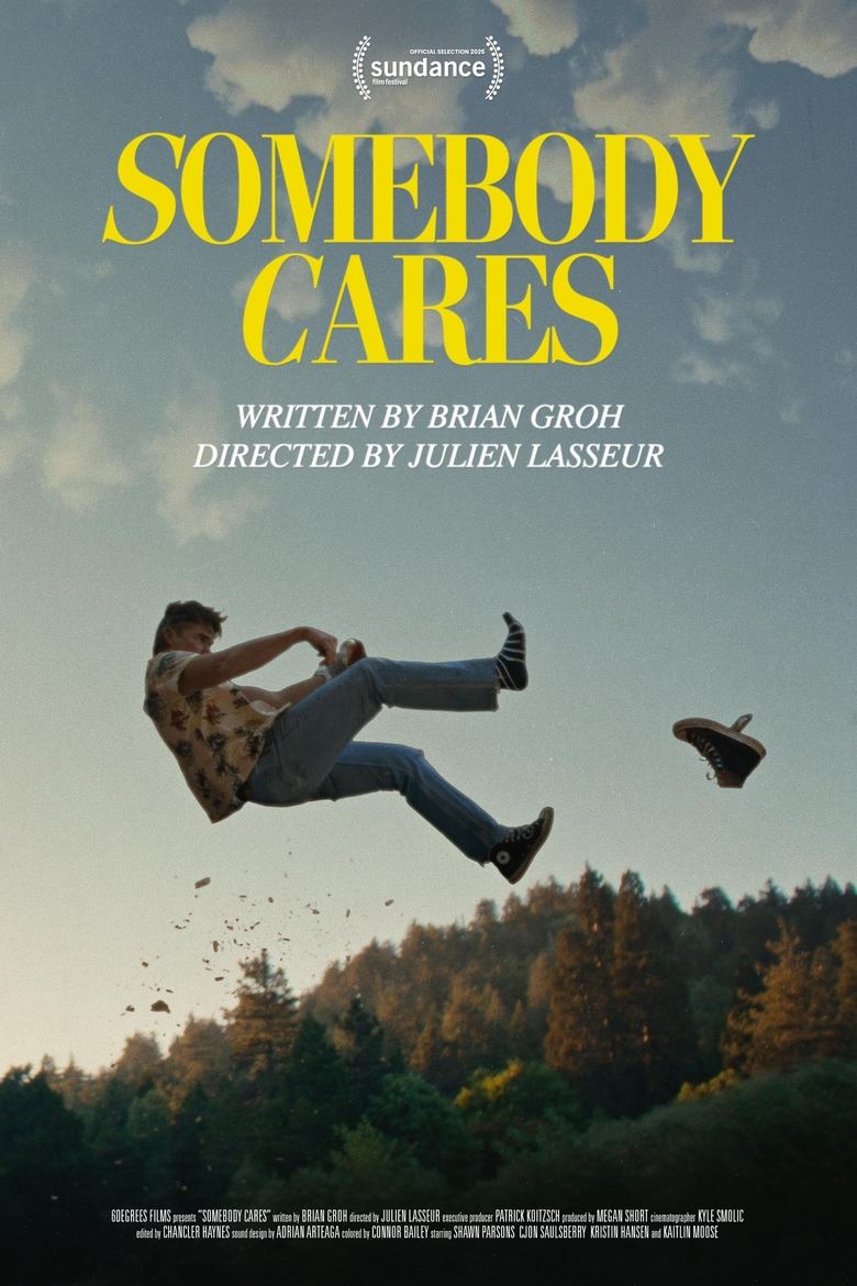 Poster of Somebody Cares