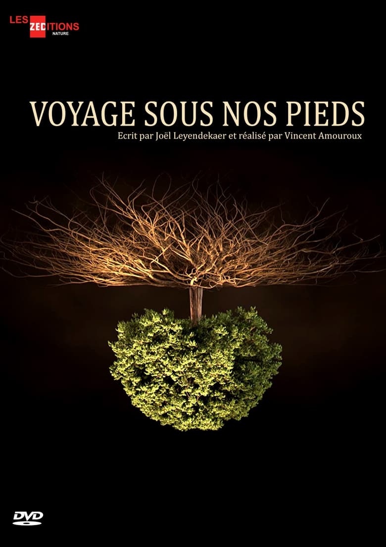 Poster of Voyage sous nos pieds