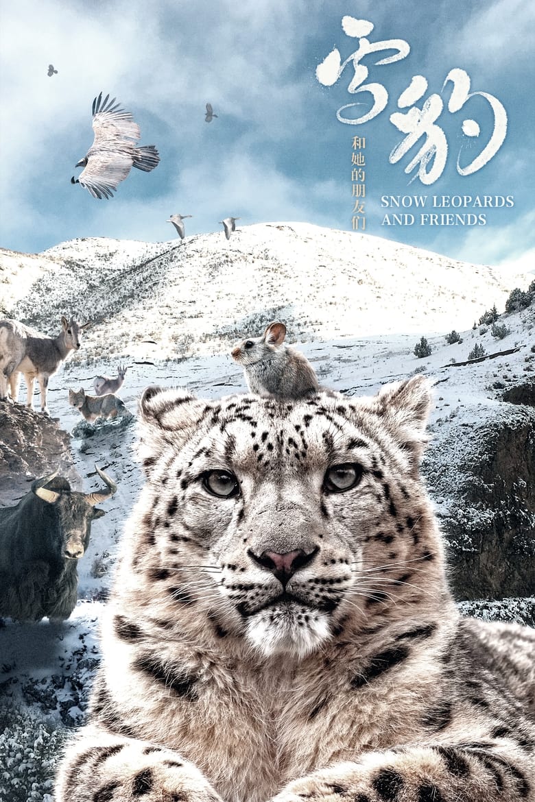 Poster of Snow Leopards and Friends