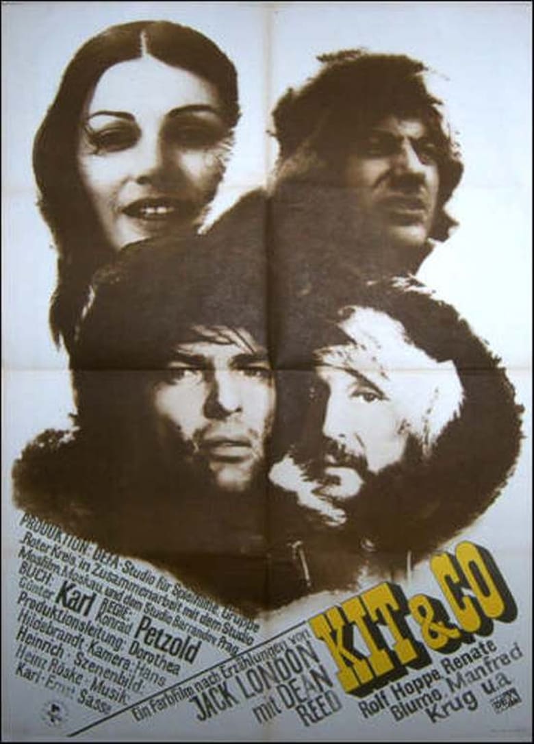 Poster of Kit & Co.