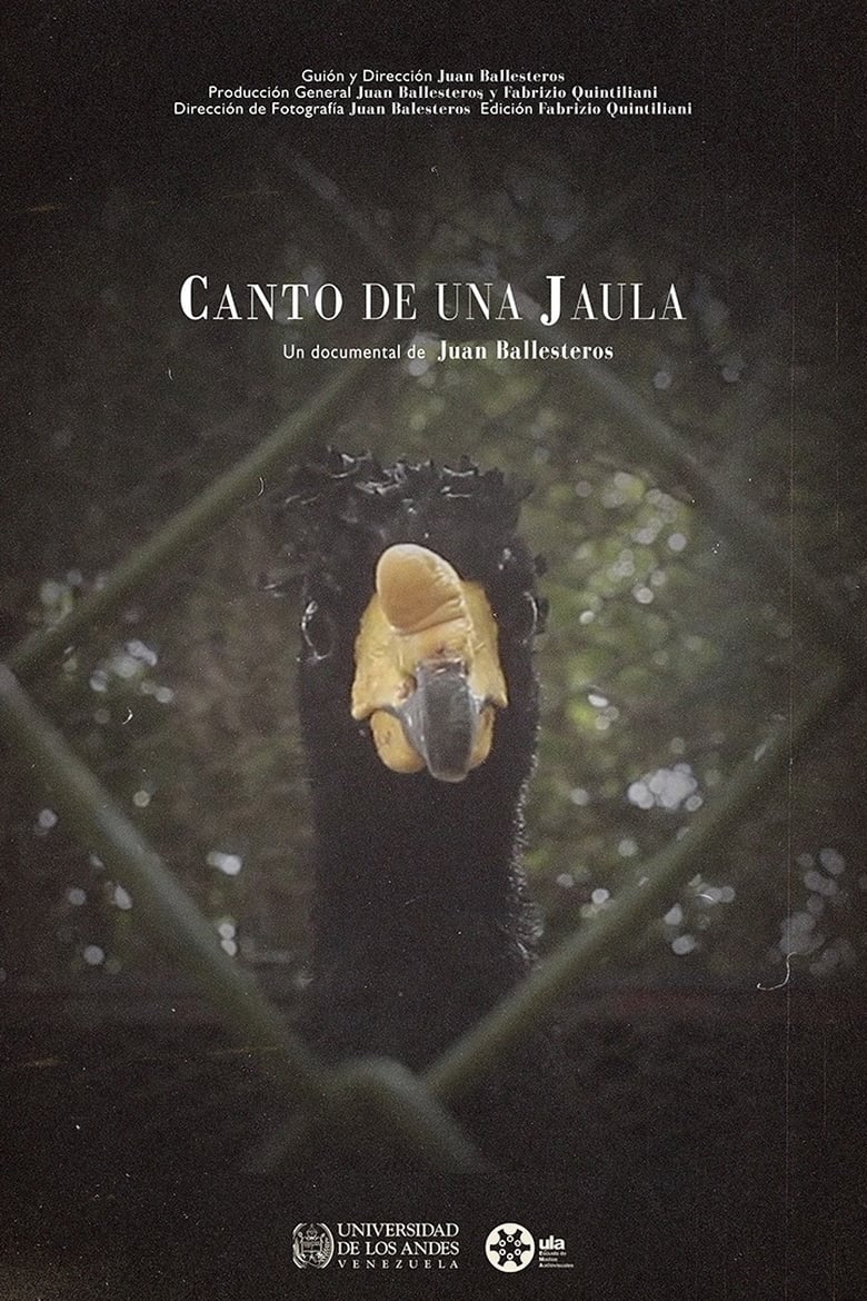 Poster of Canto de una jaula