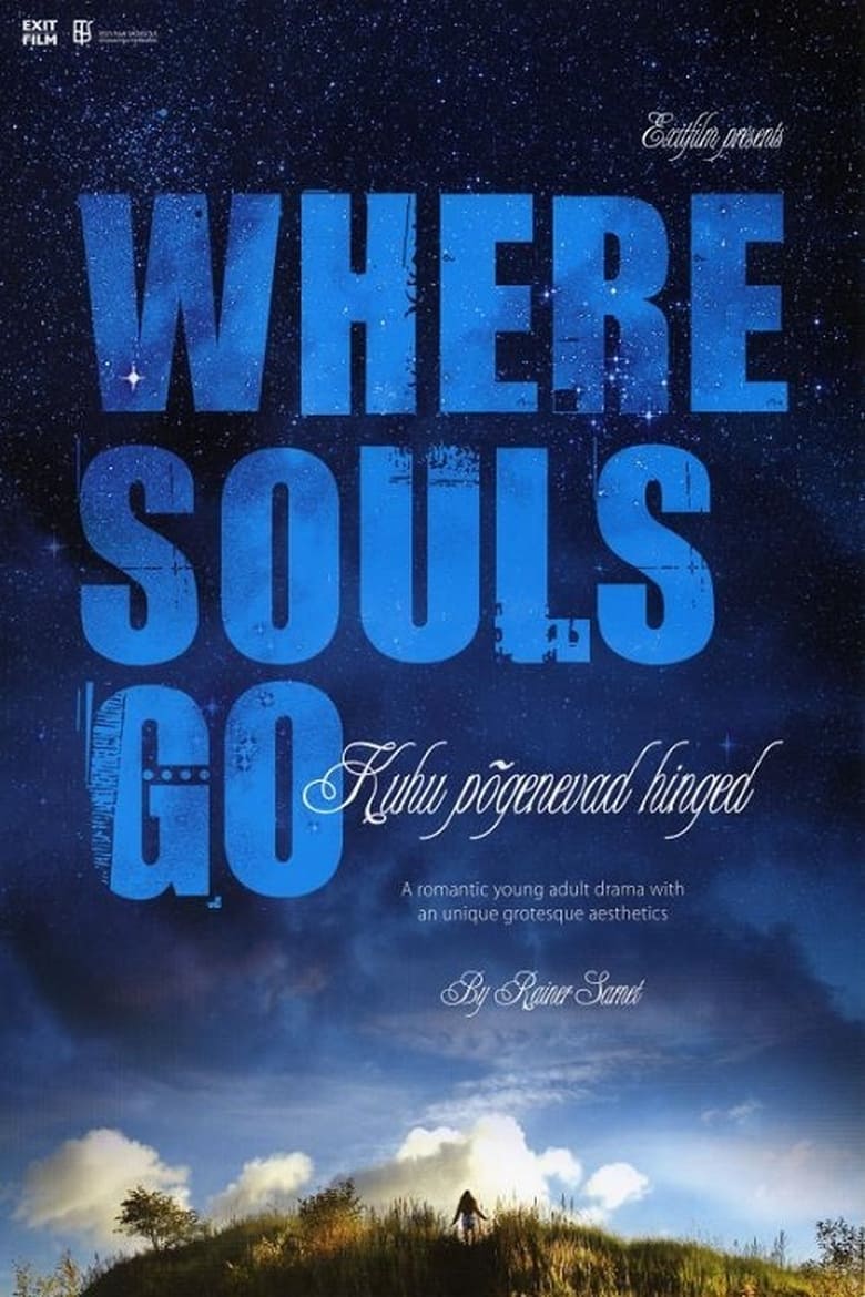 Poster of Where Souls Go