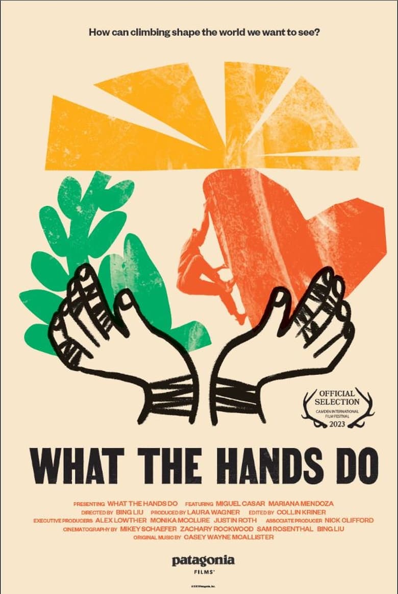 Poster of What the Hands Do