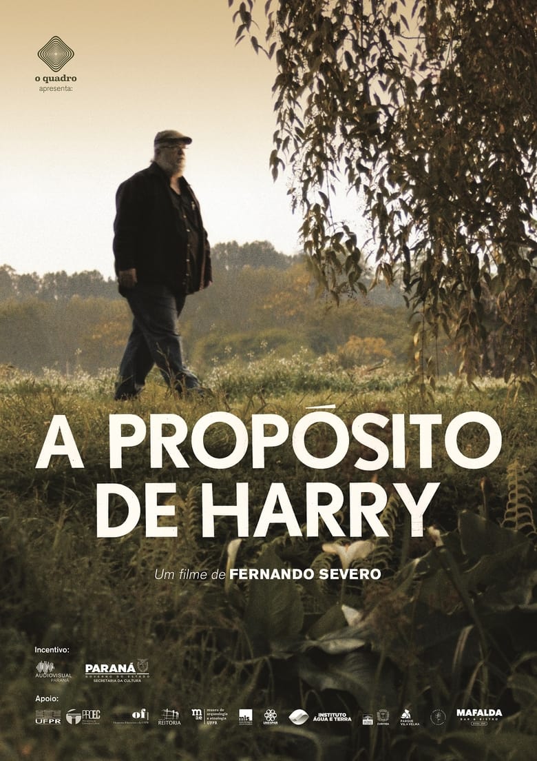 Poster of A Propósito de Harry