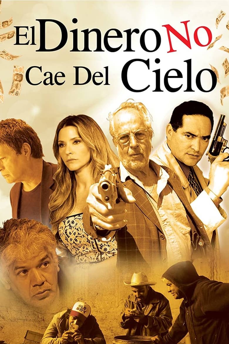 Poster of El dinero no cae del cielo - El aerolito