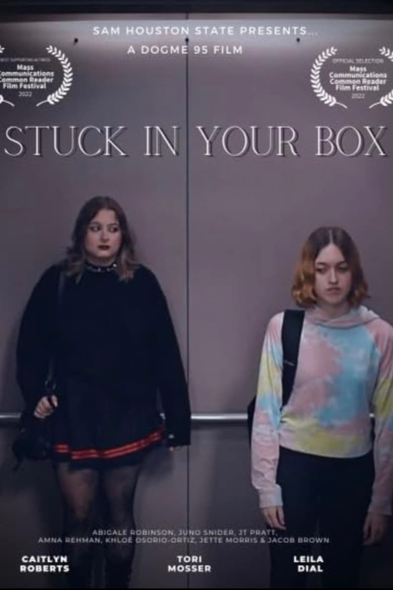 Poster of Stuck in Your Box