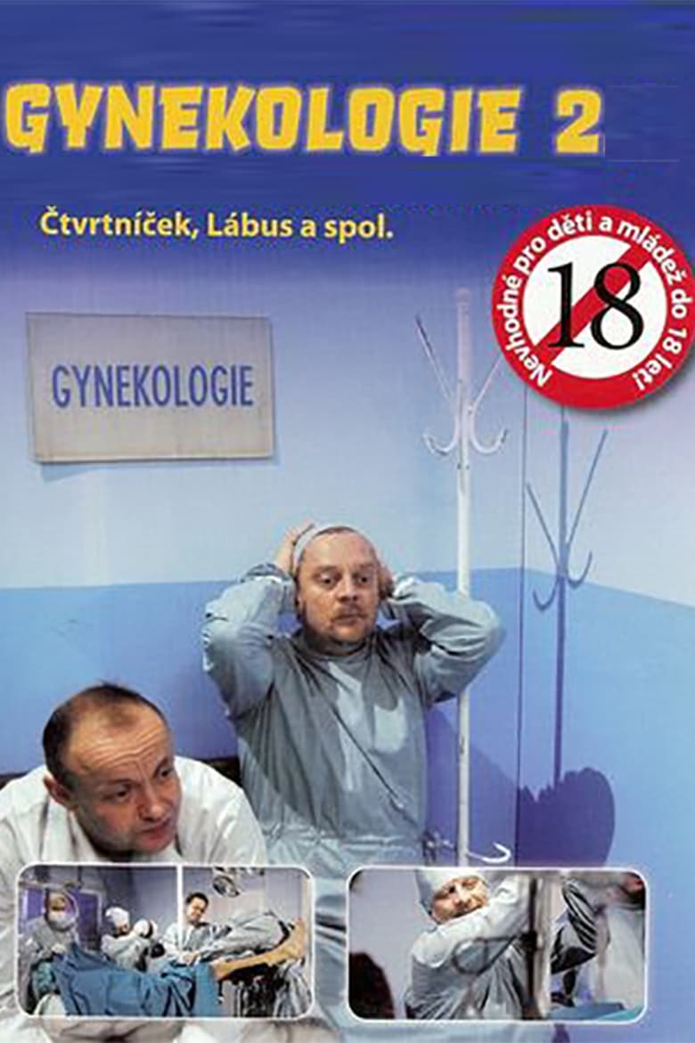 Poster of Gynekologie 2