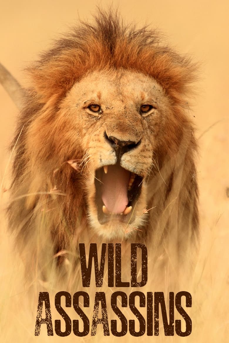 Poster of Wild Assassins