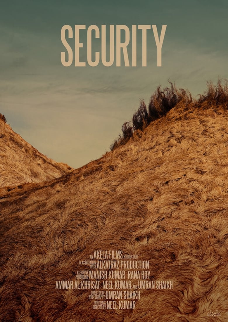 Poster of Security