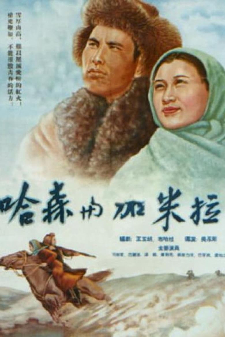 Poster of 哈森与加米拉