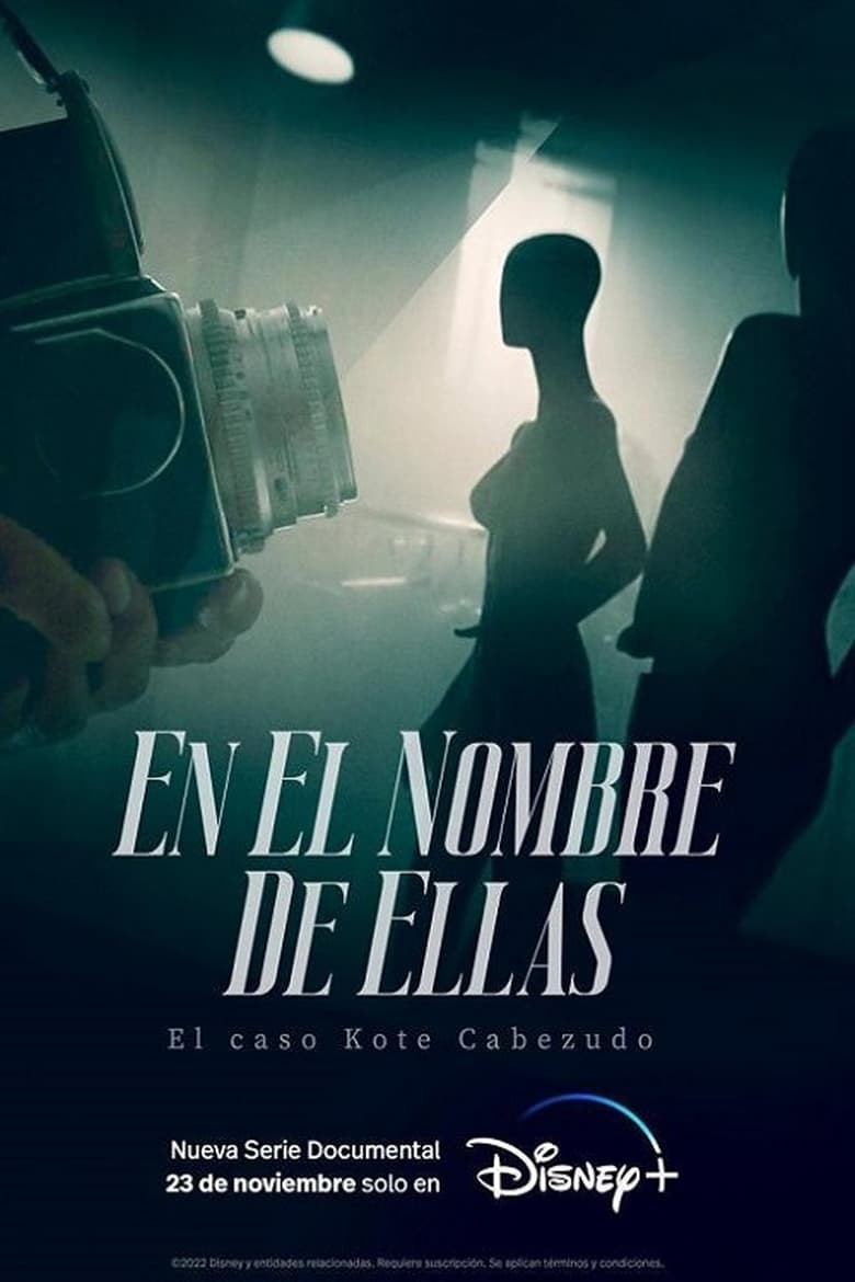 Poster of En el nombre de ellas: El caso Kote Cabezudo