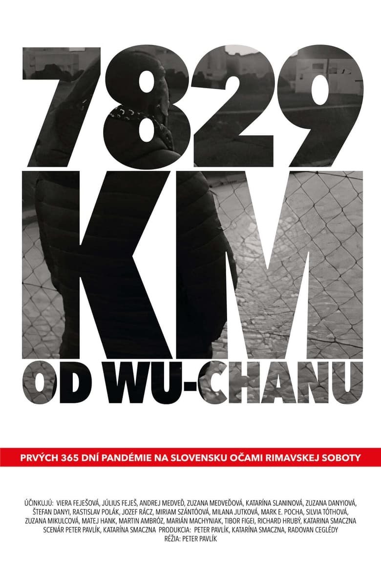 Poster of 7829 km od Wu-chanu