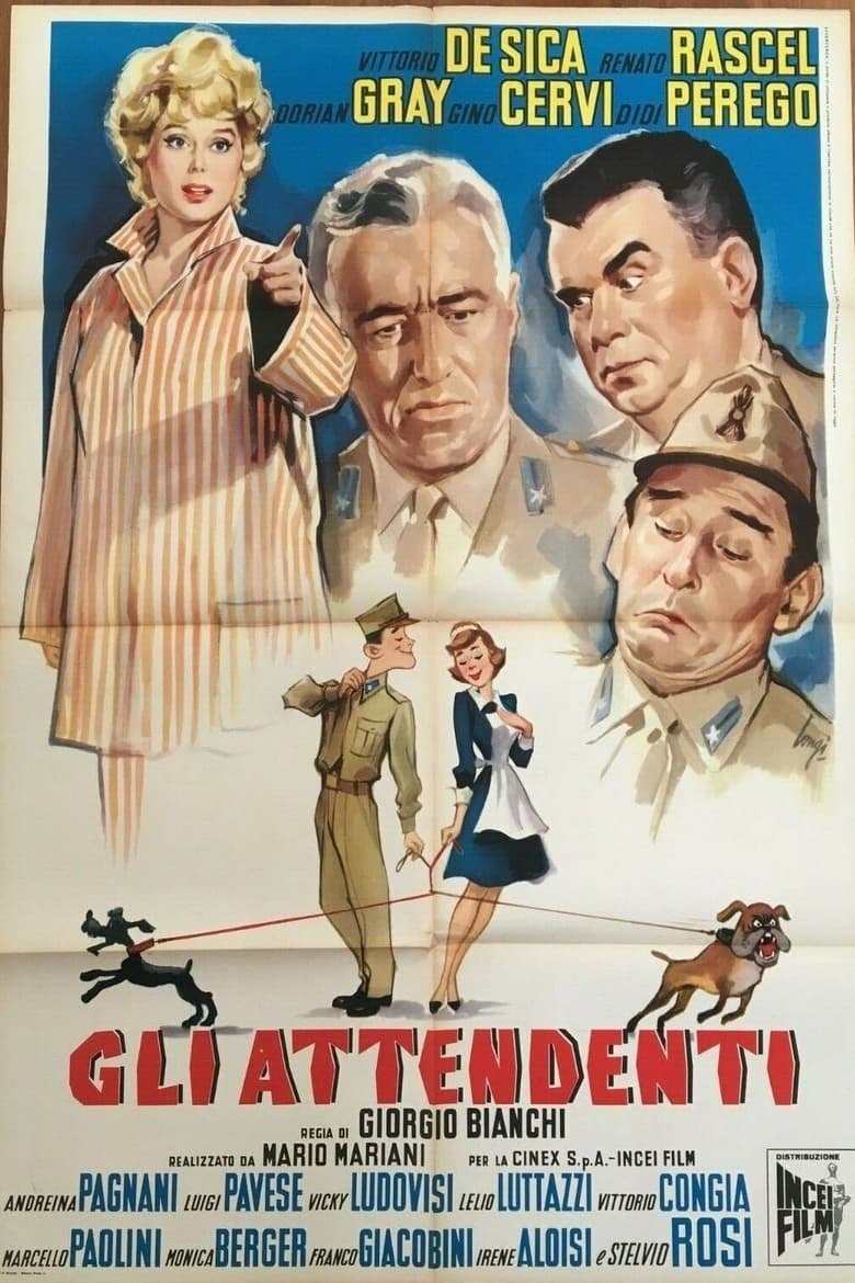 Poster of The Orderly