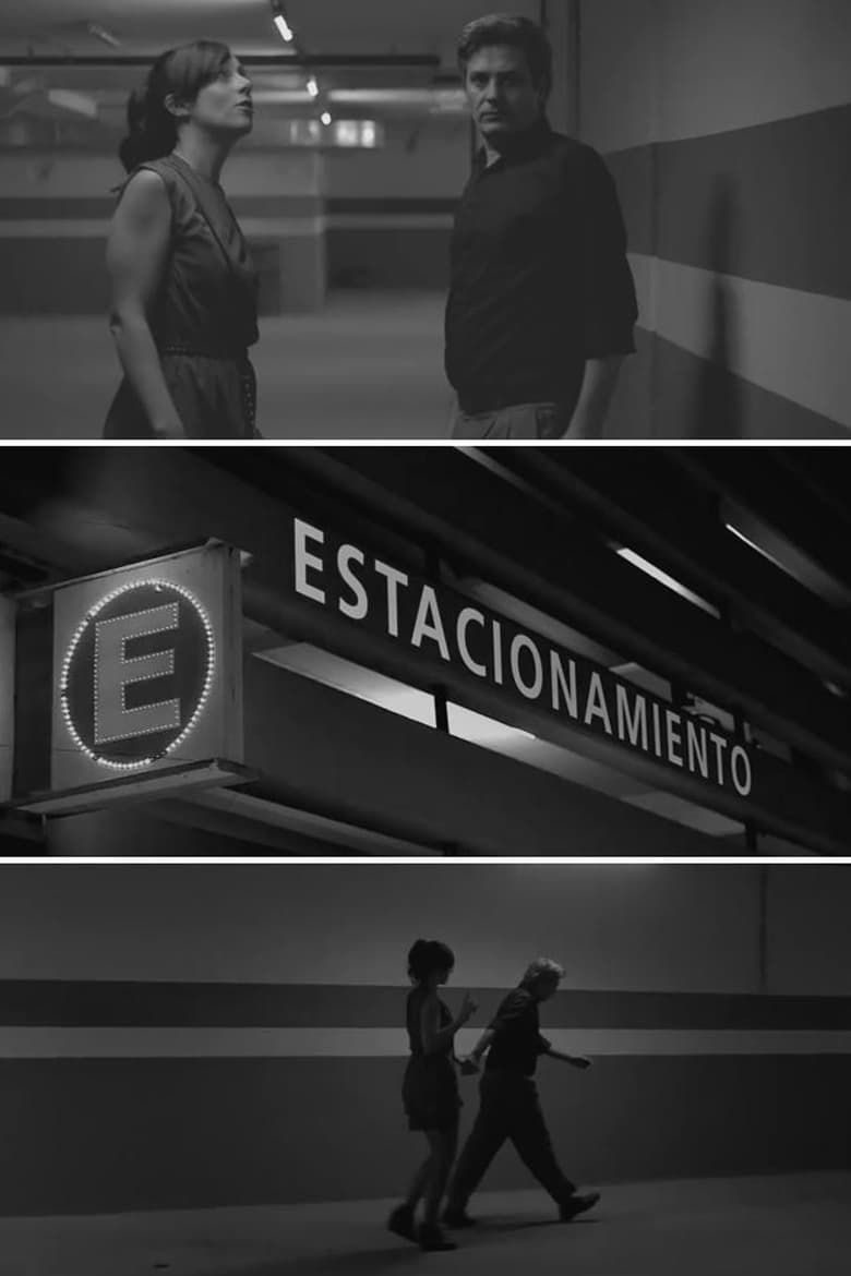 Poster of Estacionamiento