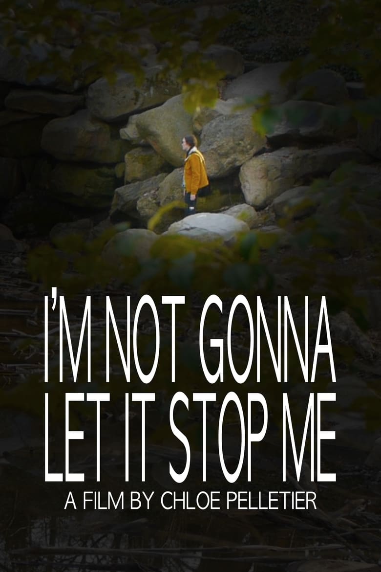 Poster of I'm Not Gonna Let It Stop Me