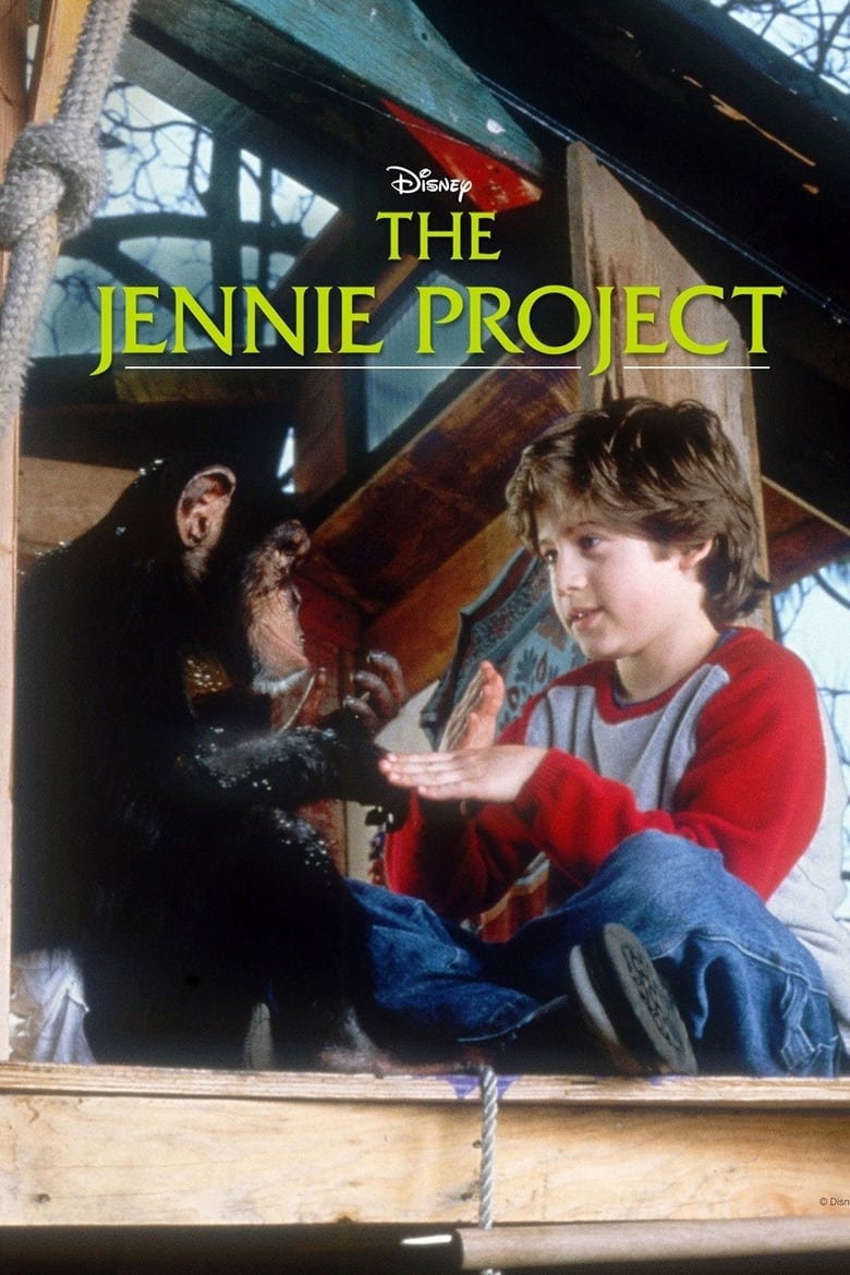 Poster of The Jennie Project