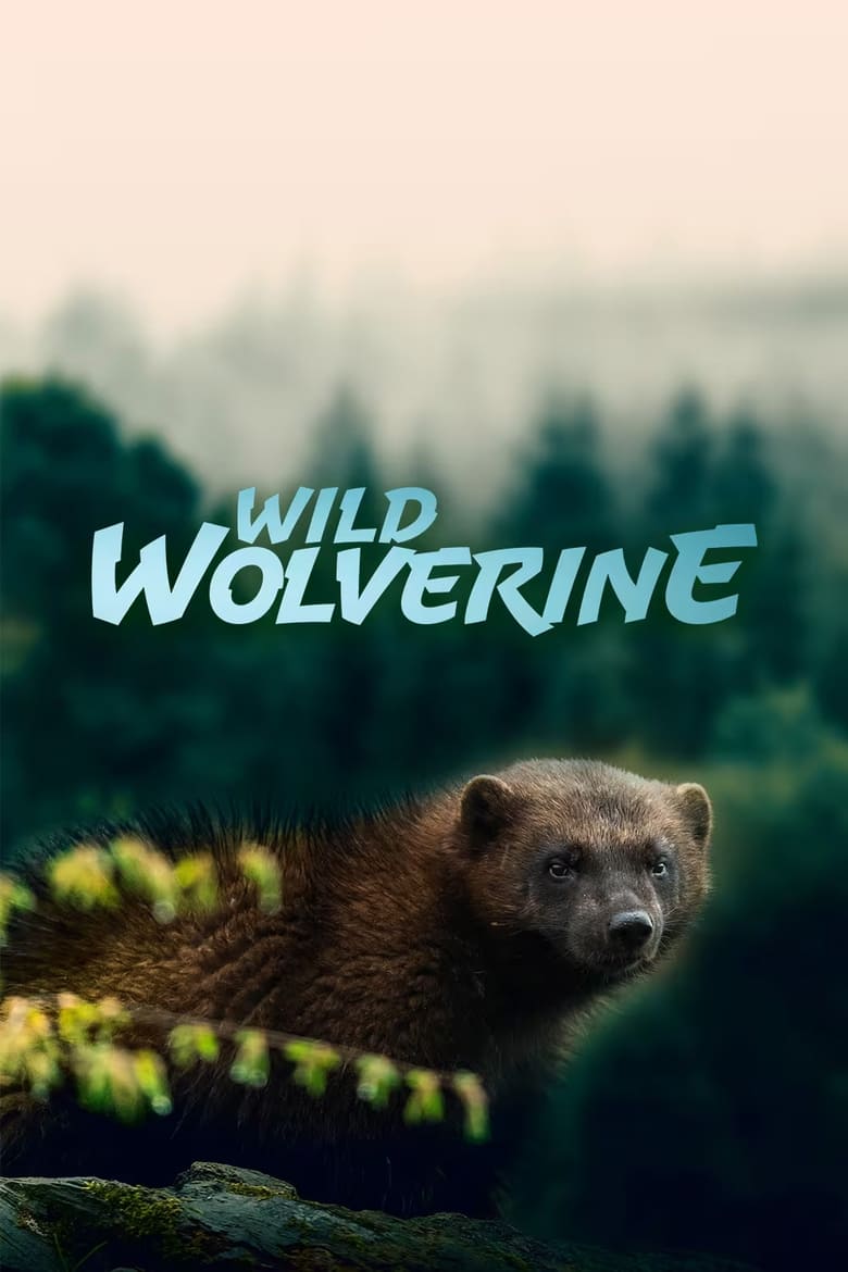 Poster of Wild Wolverine