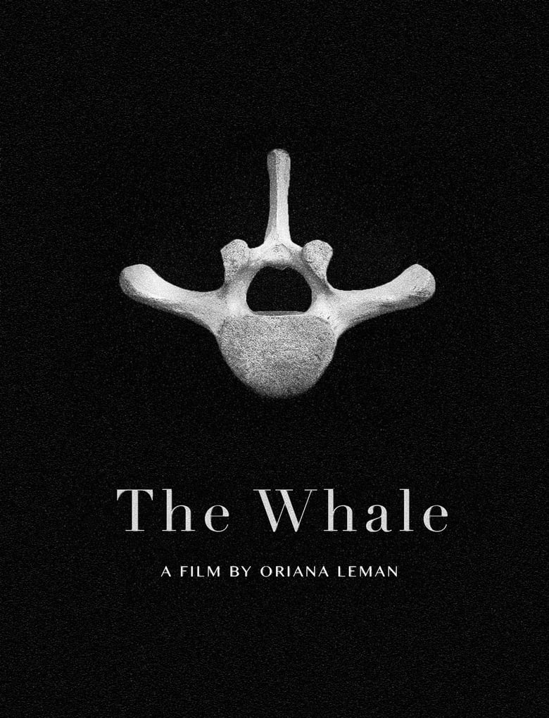 Poster of The Whale