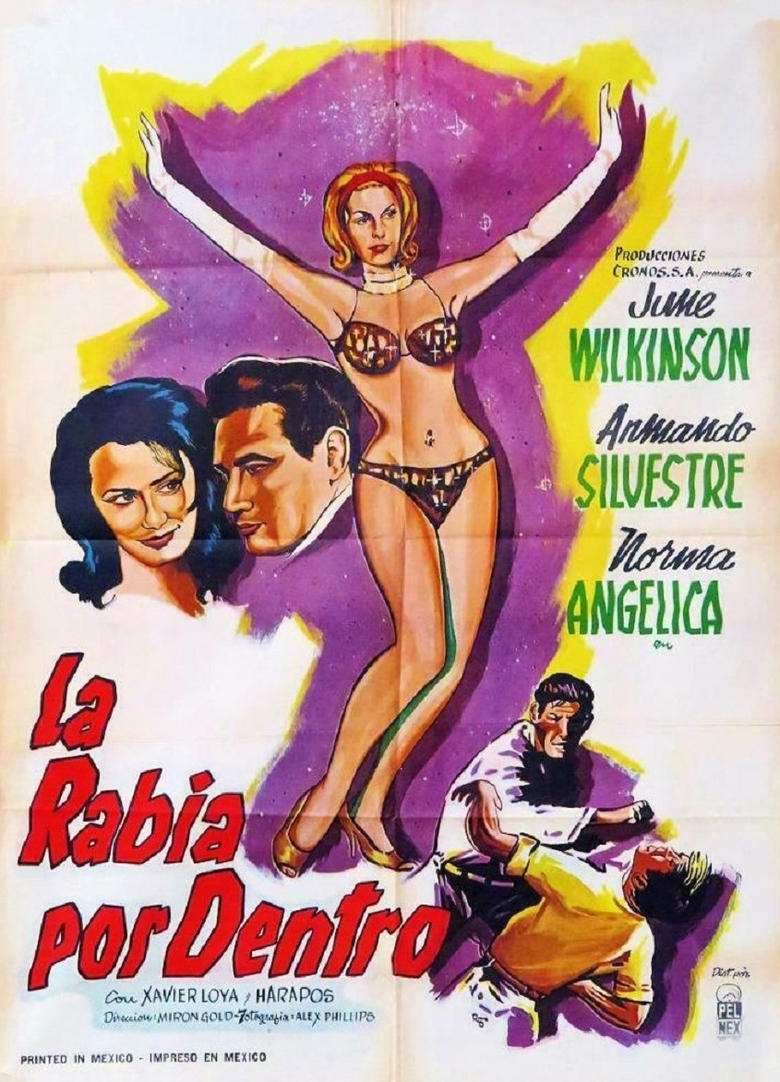 Poster of La rabia por dentro